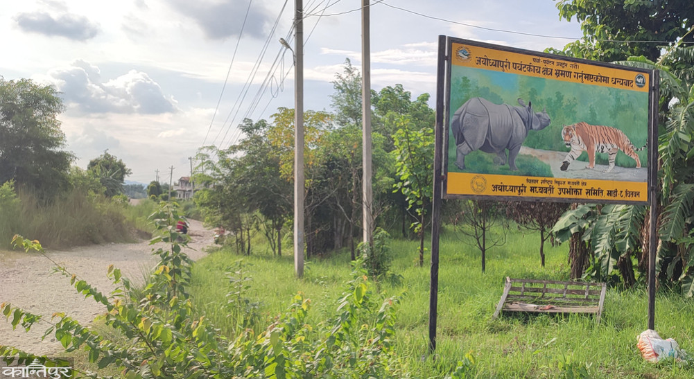 Ayodhyapuri: A village emerging from tiger terror