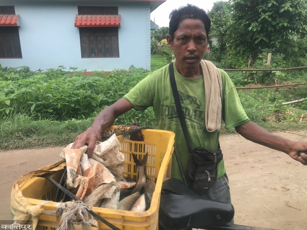 ”I ride a bicycle for seven to eight hours a day and go from village to village to sell fish”