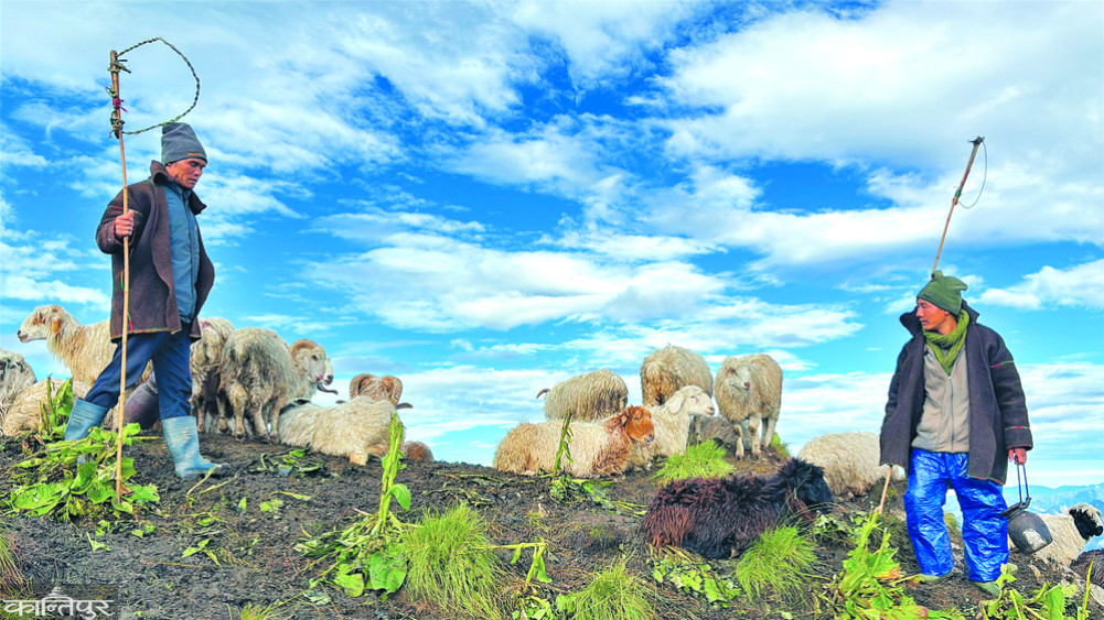 Dhorpatan: 'Location' targeted by poachers