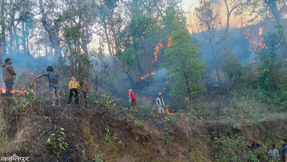 Fierce fire in Palpa forest for five days