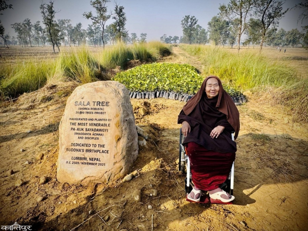 Faith in the birthplace of Buddha: While undergoing dialysis, people plant Sal saplings in Lumbini