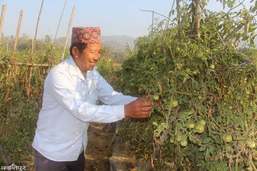 ”After hearing that plowing can be eaten, I did not leave it for the rest of my life”