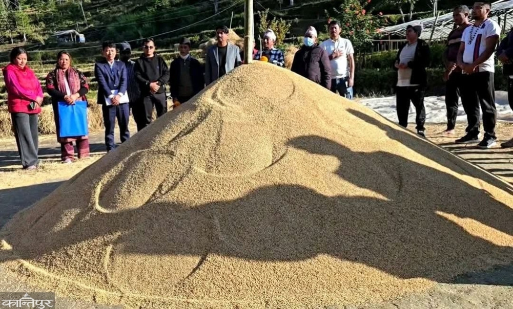 Farmers honored for producing 60 bushels of rice in Panchkhapan