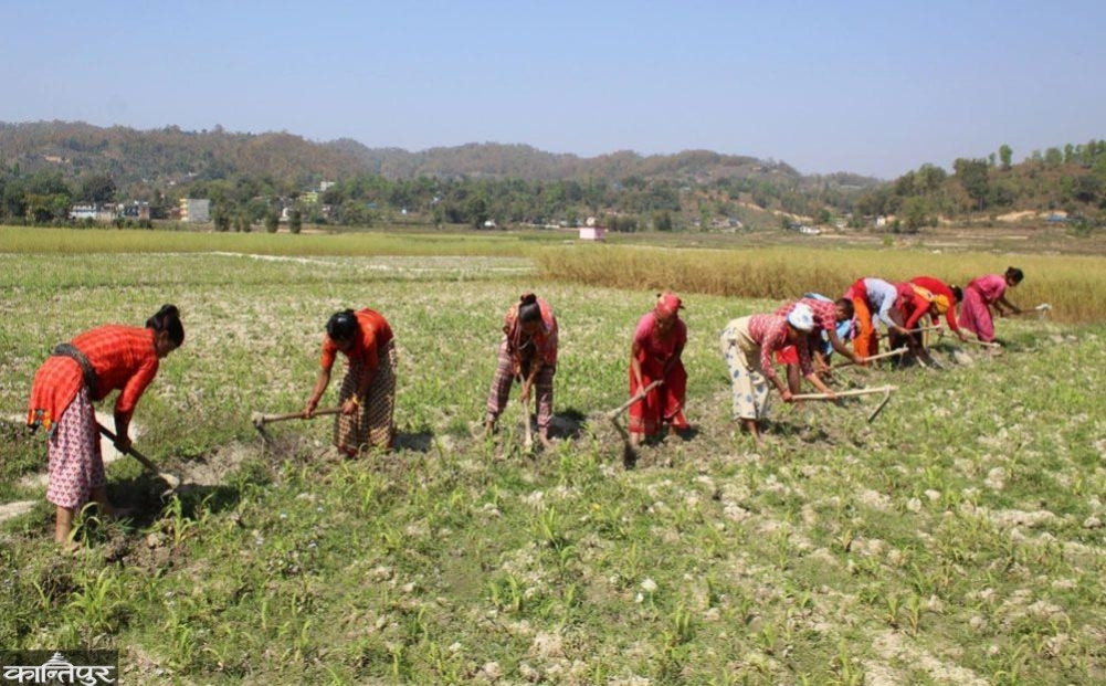 Women farmers deprived of land ownership