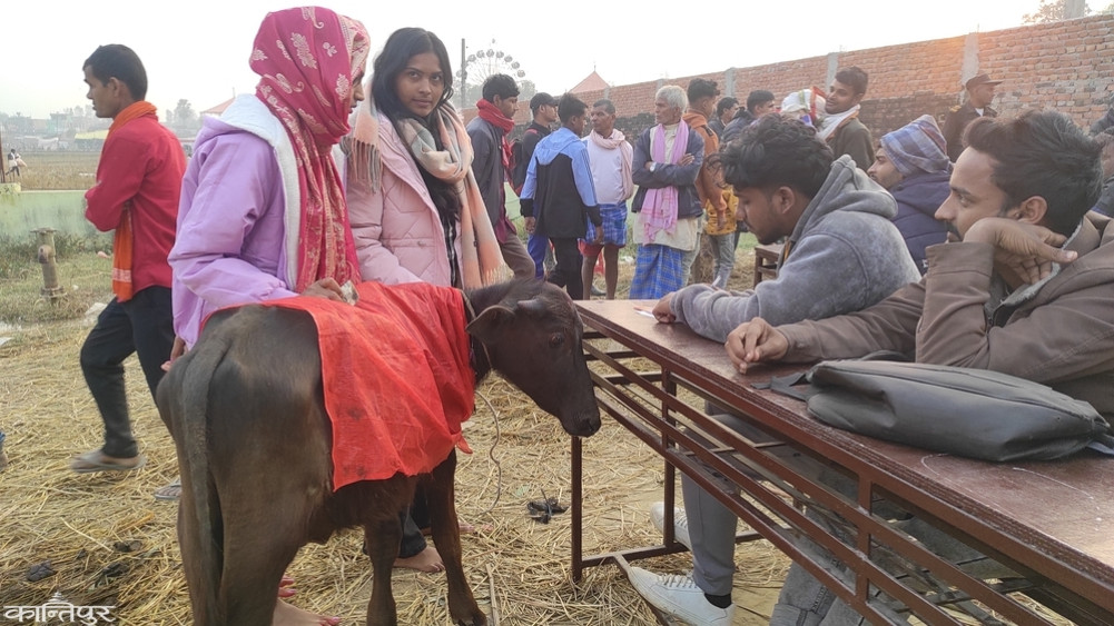 Suspicion of irregularity in income-expenditure of Gadhimai Mela