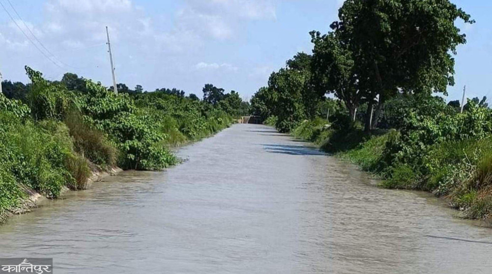 Water was sent to the Gandak canal on the scheduled date targeting planting
