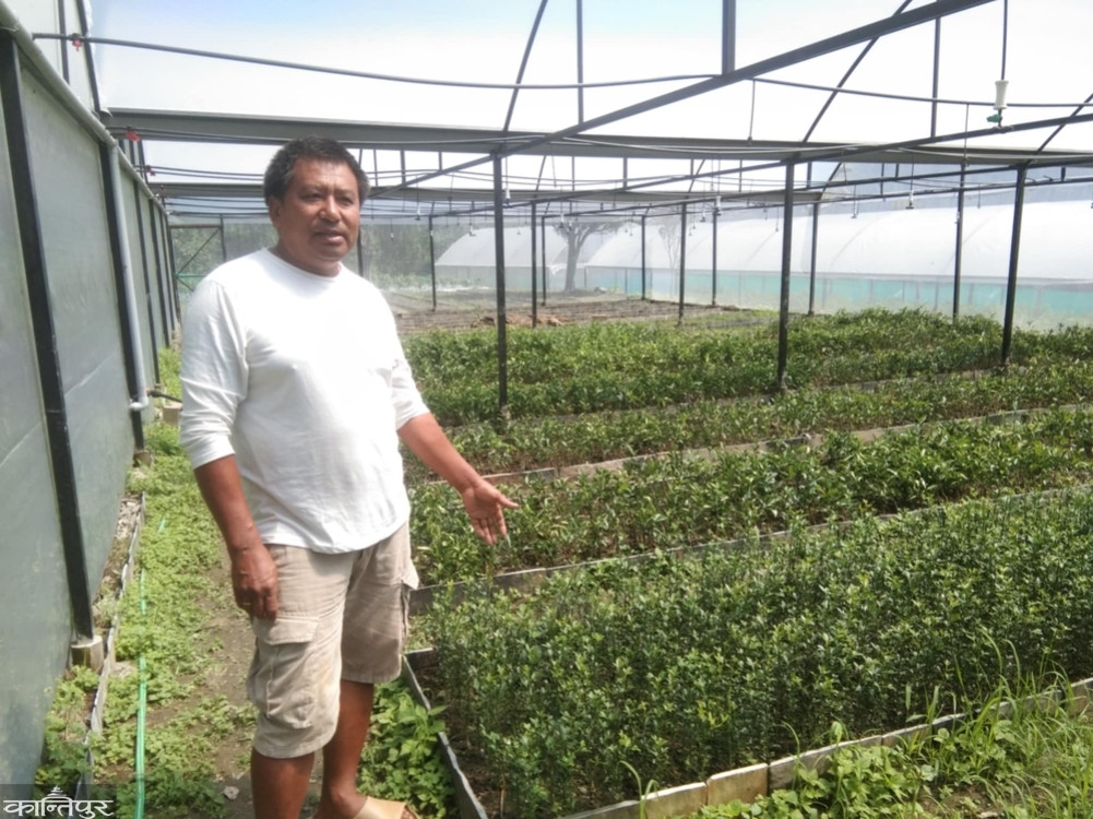 Irrigation in nursery by automation method