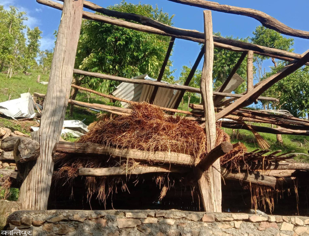 The roof of the house was blown away by the wind, living under the open sky