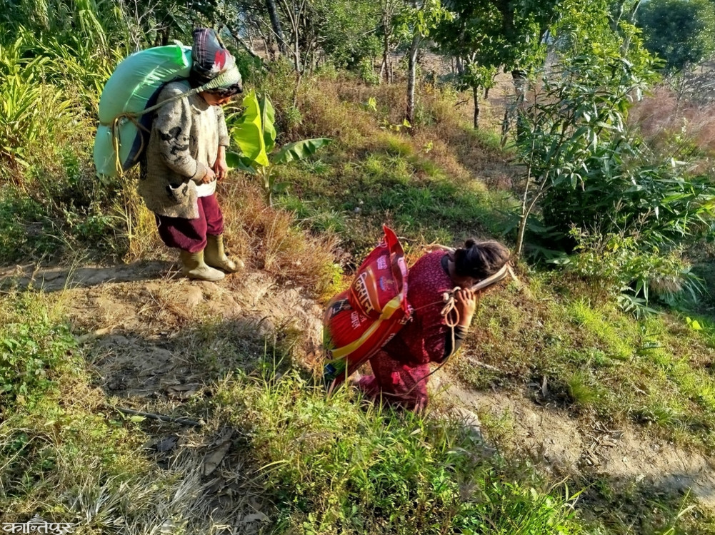 Drought burden, disease outbreak in Hatuwagadi