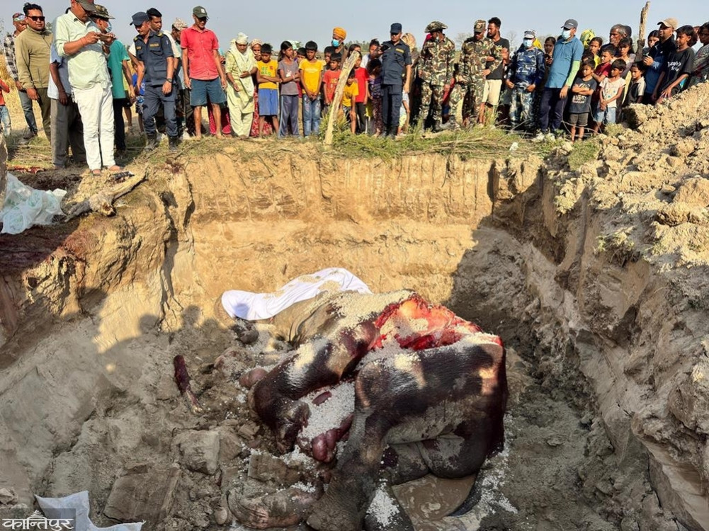 Increasing Human-Wildlife Conflict, Barriers to Corridors Threaten Wildlife