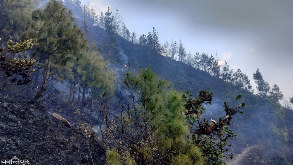 Gorakhnath community forest fire spreading up to Chisapani