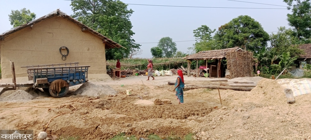 Tharu community decorates their house after farming