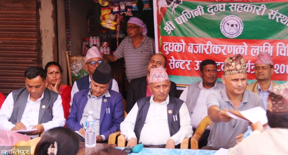 Panini aims to double milk production