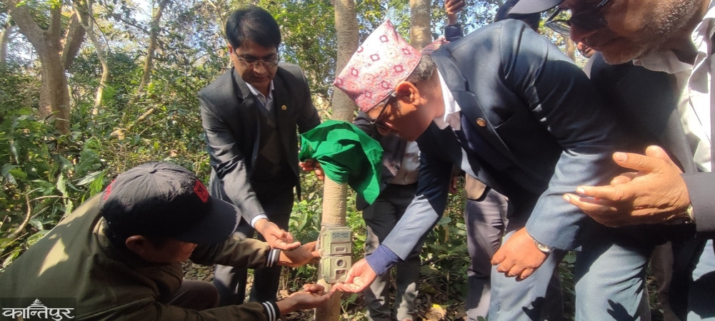 Forest Minister Chaulagain inaugurated the tiger census