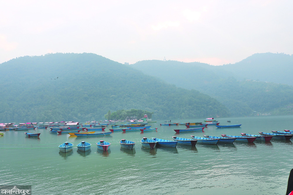 From sawn timber to motorboats