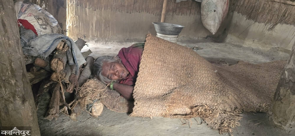 Haze and cold wave in the Tarai for a week, cold affects the stoves of the poor