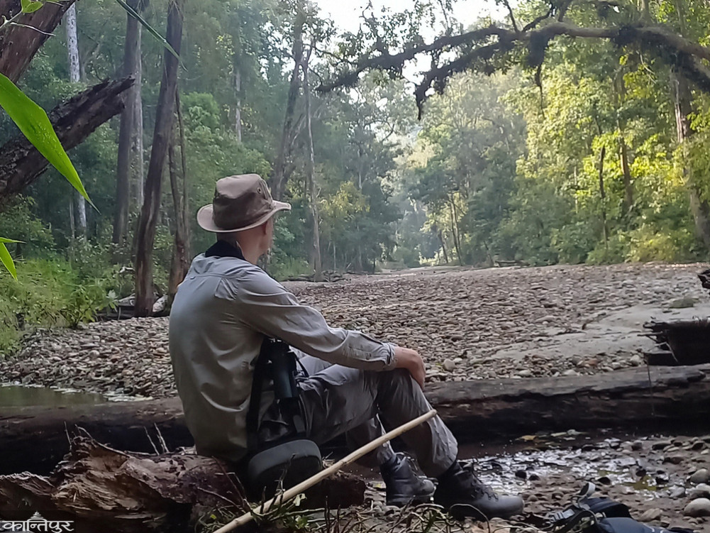 Jungle Walk Safari: Unparalleled joy of nature
