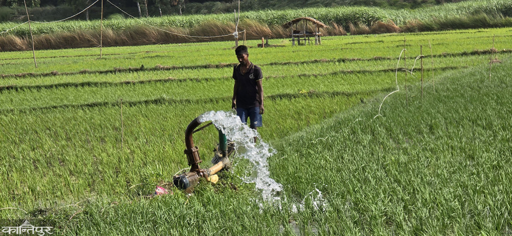 Farmers of Madhesh are losing their lives due to electrocution while drilling