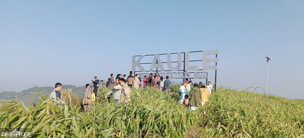 Jhirubas' Kauledanda is a favorite among domestic tourists