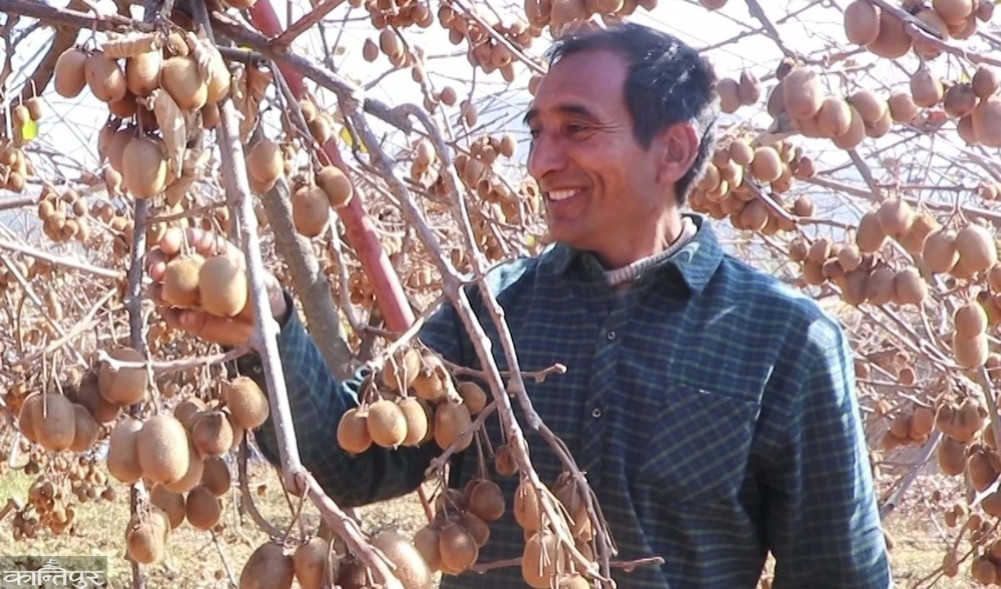 ”Life is smiling with kiwi and walnuts”