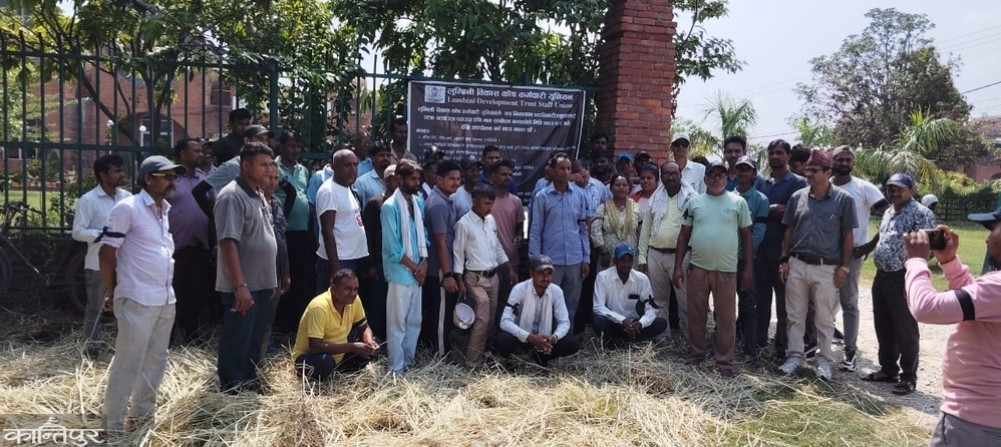 Why did the employees of Lumbini Development Fund protest?