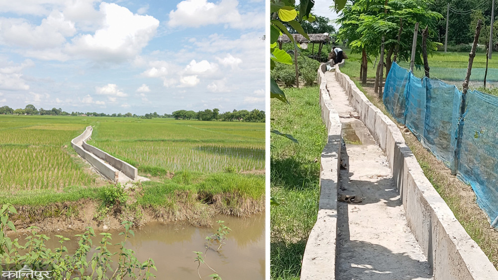 It didn't rain, the crops dried up: farmers on Tuesday