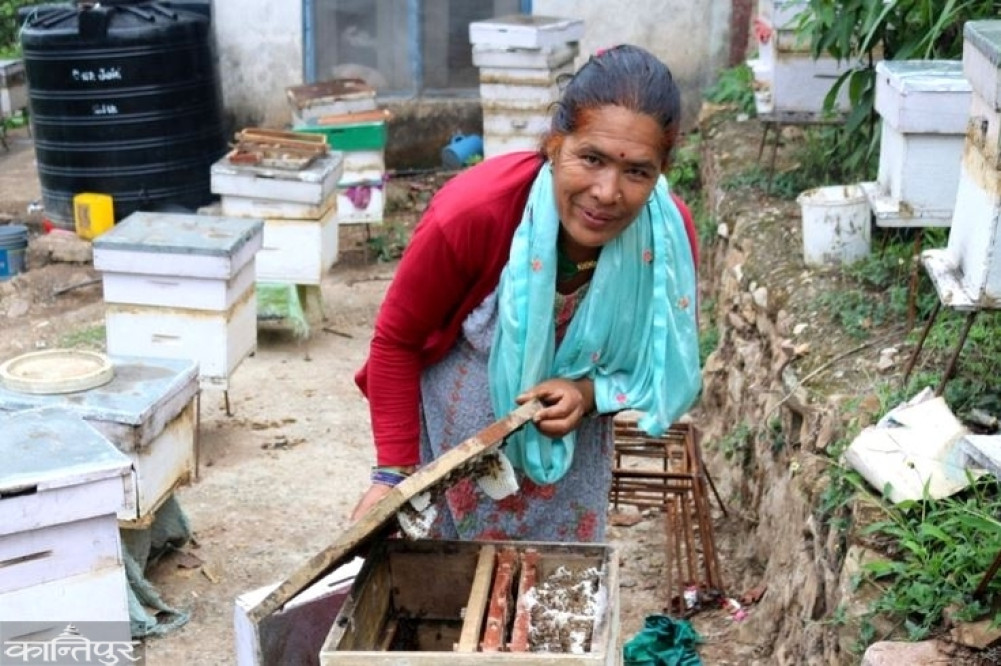 'A hive brought from the forest made a bee entrepreneur'