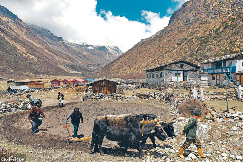 From the foothills of Kanchenjunga