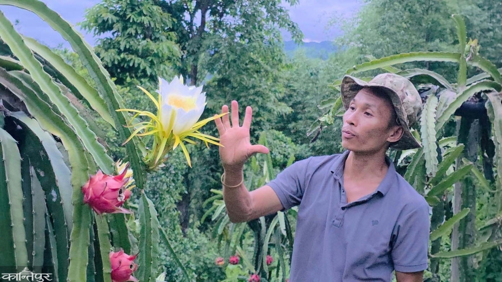 Back from Dubai Farming Dragon Fruit, Earning Millions