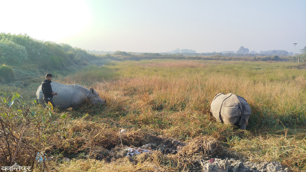 Pushpa and Anjali's Rakhbari at Koshi Tappu