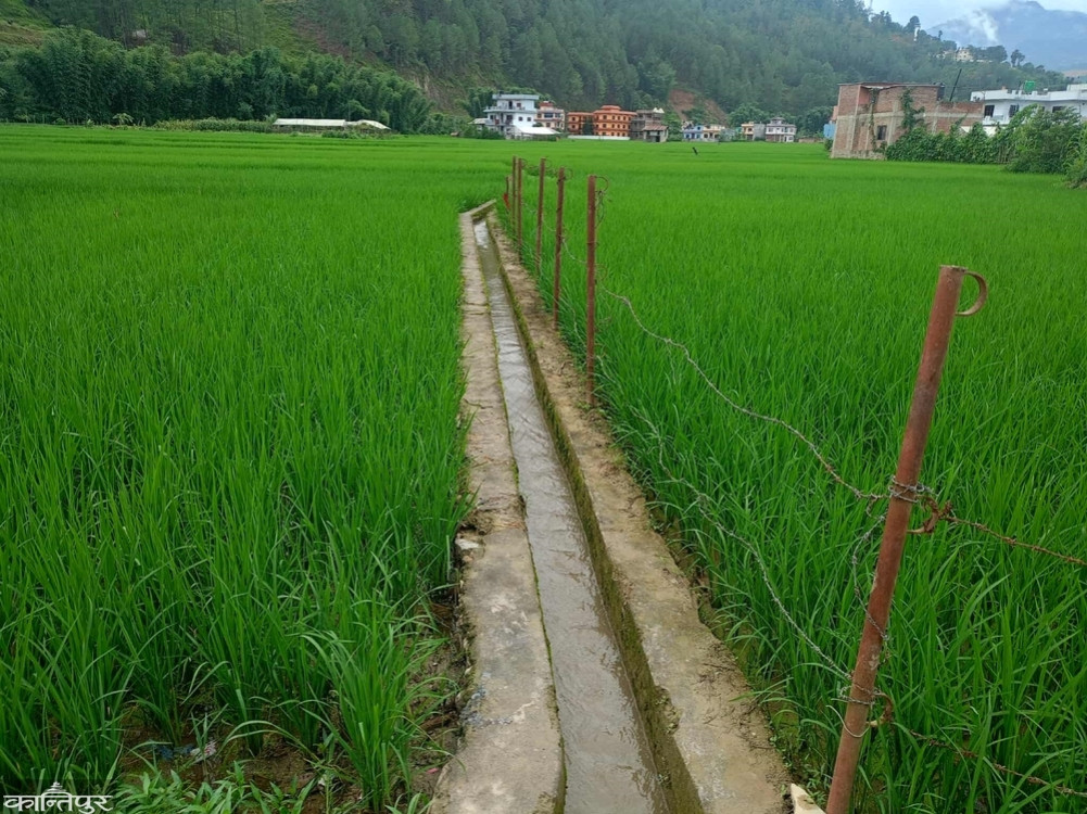 Irrigation facilities in Arghakhanchi in an area of 3 thousand 180 hectares