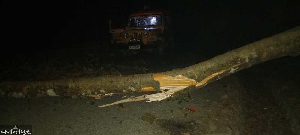 The road was blocked by felling a tree, and the woman who was in labor pain was turned back from the middle of the road