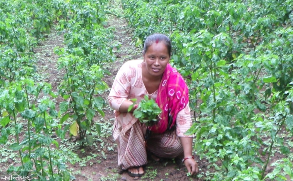 ”I understand that after hard work, you will get income”