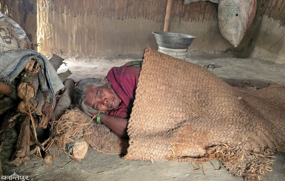 Cold wave wreaks havoc in the Terai