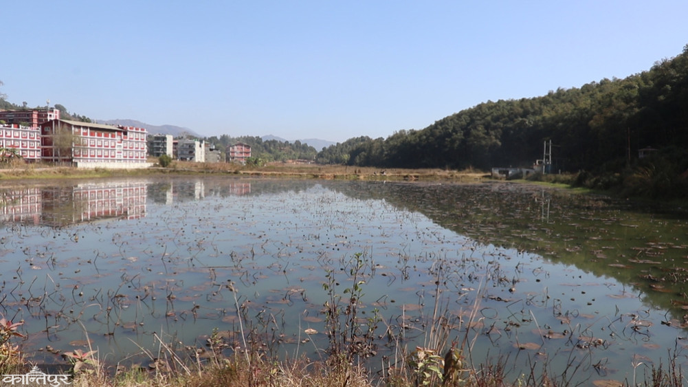 Locals demand to protect Palpa's wetlands