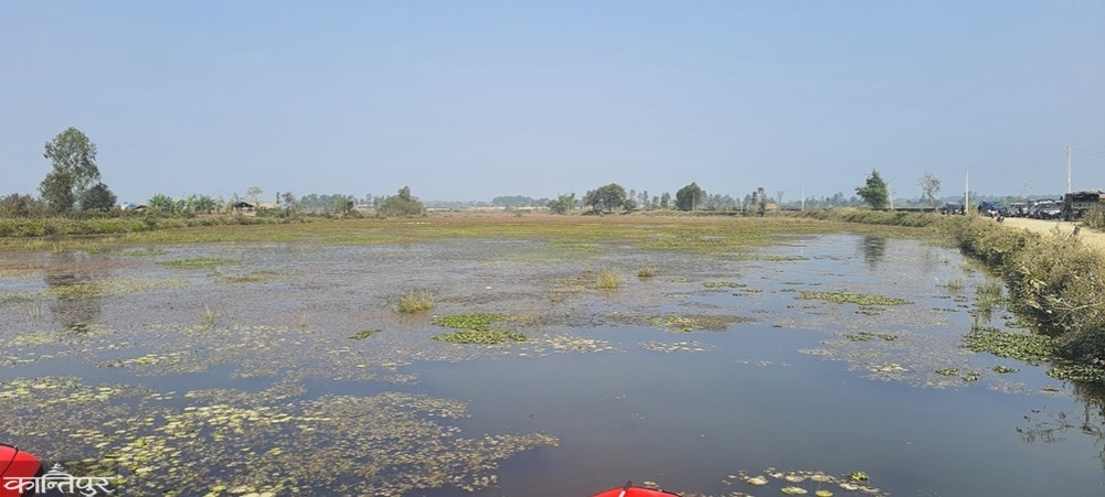 Wetland land in the name of individuals, municipality requesting the authority and CIB for investigation