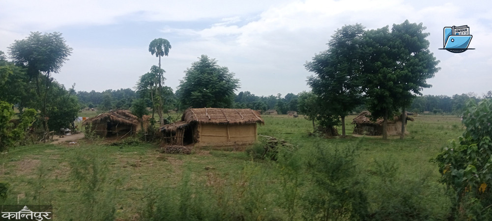 Displaced persons of Shuklaphanta: 32 Commission formed, third generation awaiting rehabilitation