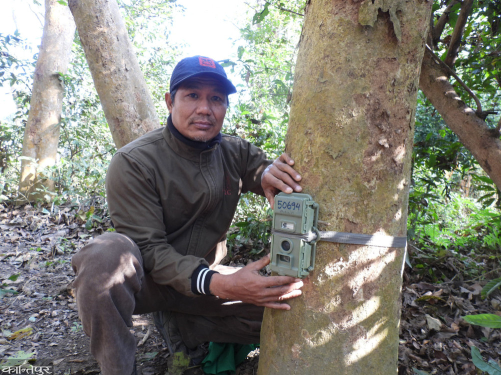 Tirtha Lama always ready to count tigers