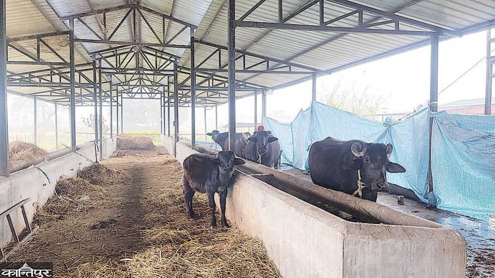 Crores of agricultural subsidy to 32 institutions, misused by many