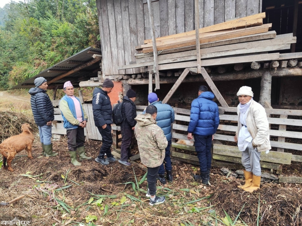 Bears cause damage, forest officials follow