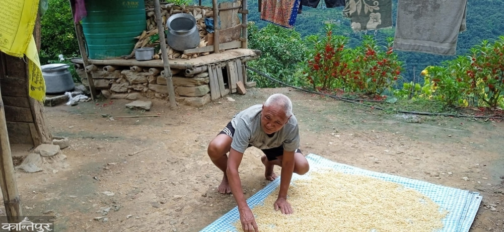 ”It's a lot of pain when crops grow from dawn to dusk.”