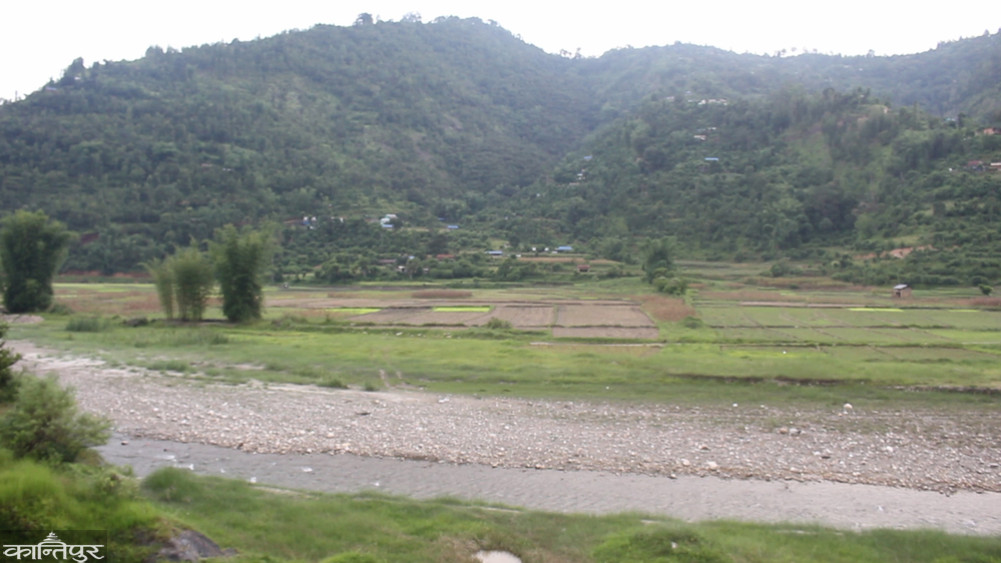 There is a river in the middle, there is no planting in Chaldifant