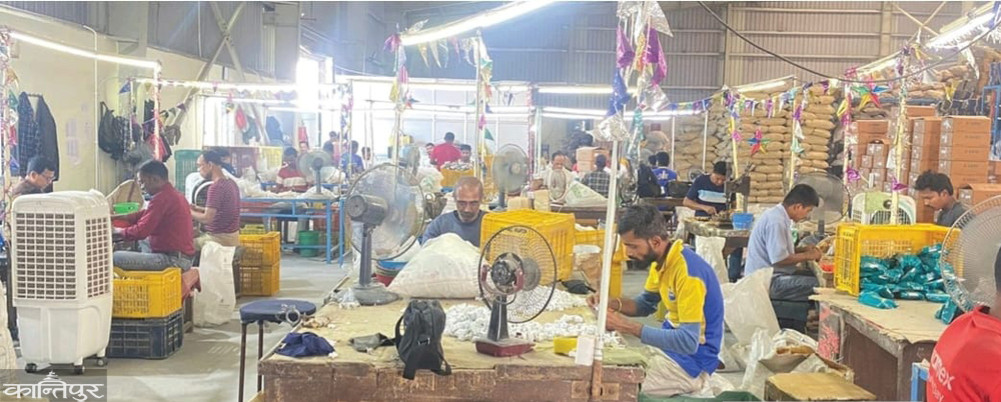 Switch-socket industry crushed by tax burden