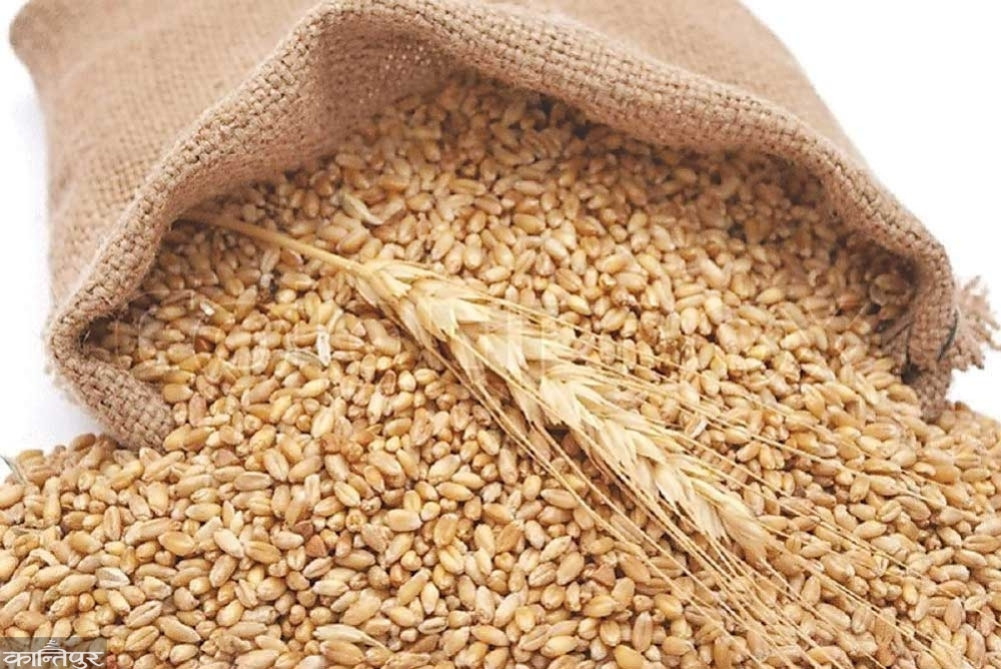 If production does not increase, wheat is also dependent on India