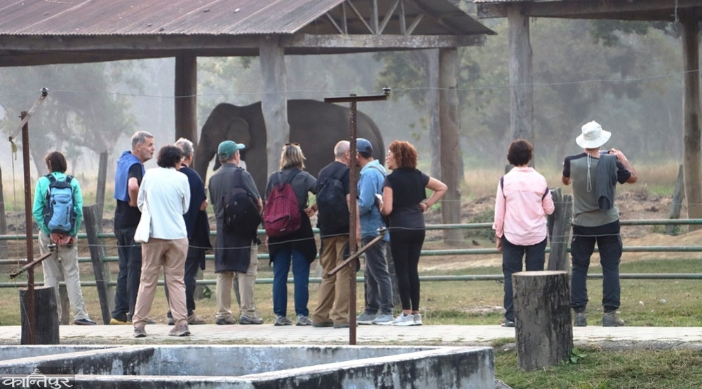 Tourist crowd in Sauraha excites businessmen