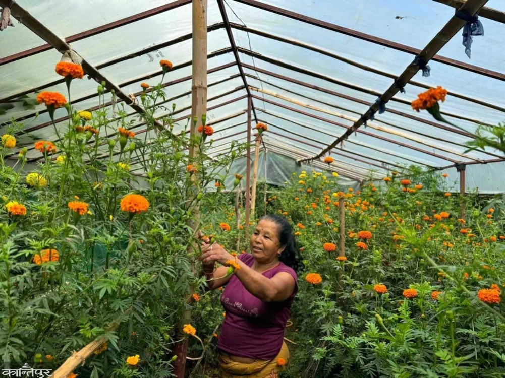Nanikumari has been selling flowers for 40 years in Mankamana
