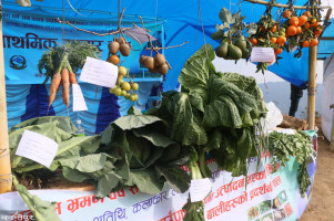 Cultural tourism and agriculture fair is over