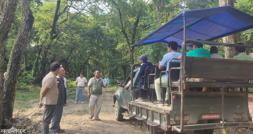 Jeep safari starts in Jankauli forest