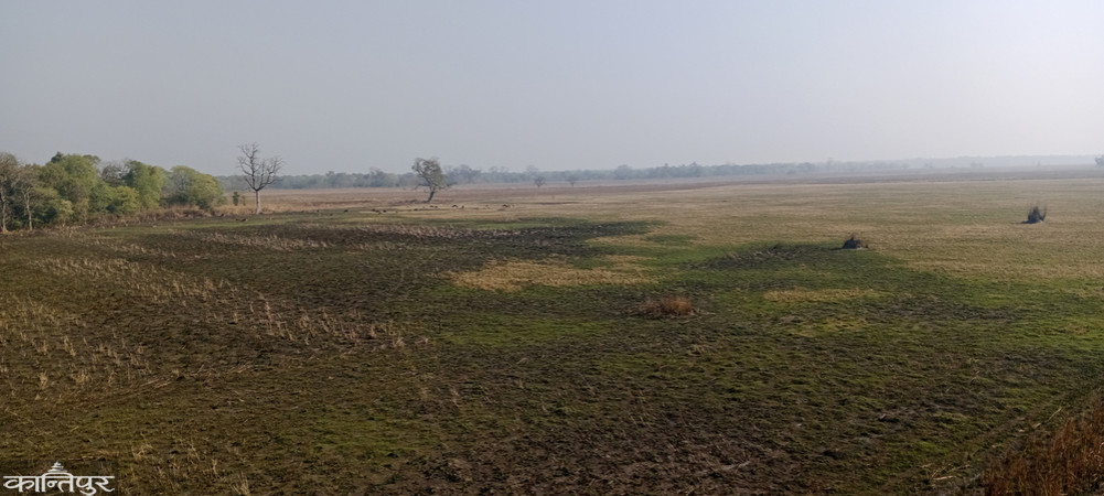 Safari closed in Shuklaphanta after the road was damaged by rain