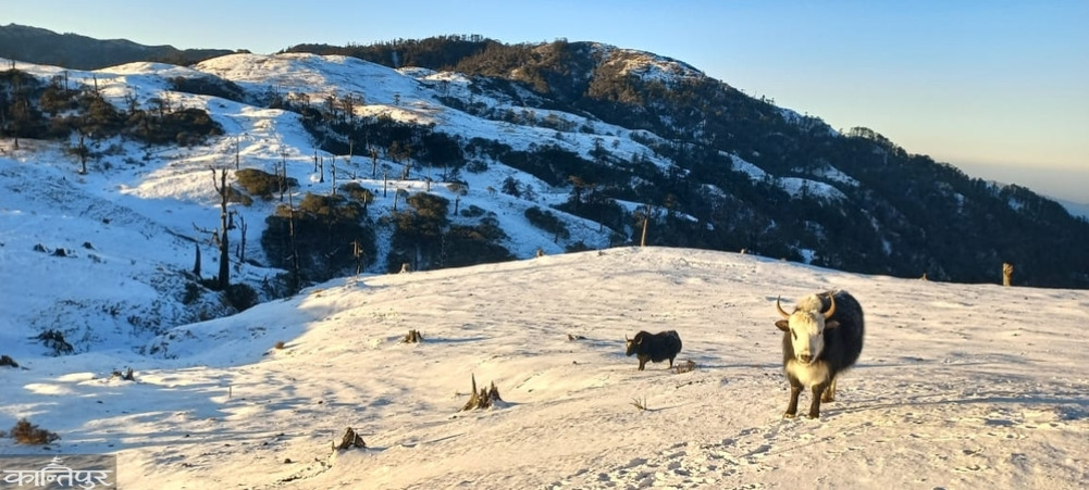 Snow fell in Falelung